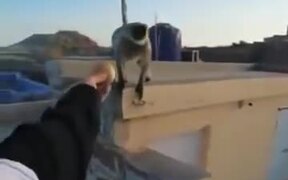 Worst Way To Make A Monkey Angry - Animals - VIDEOTIME.COM