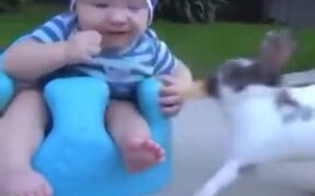 Rabbit Stole A Biscuit From A Baby - Animals - VIDEOTIME.COM