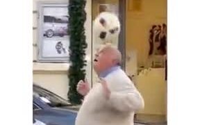 Old Man With A Ball Outside The Vatican - Fun - VIDEOTIME.COM