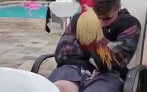 Sleeping Guy Pranked With A Rooster On The Lap - Fun - VIDEOTIME.COM