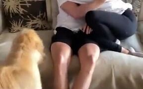 Dog Wants More Attention Than A Girlfriend - Animals - VIDEOTIME.COM