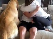 Dog Wants More Attention Than A Girlfriend