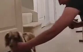 Don't Leave Your Dog With Your Man - Fun - VIDEOTIME.COM