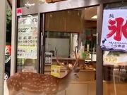 When The Customer Is Literally A 'Deer'