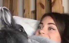When A Bunny Copies A Girl - Animals - VIDEOTIME.COM