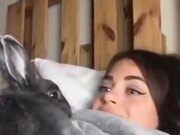 When A Bunny Copies A Girl