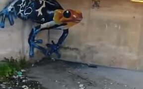 3D Graffiti Art Of A Giant Frog - Fun - VIDEOTIME.COM
