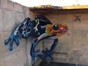 3D Graffiti Art Of A Giant Frog