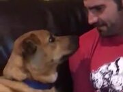 When A Dog Is Truly Man's Best Friend