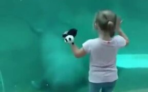 Walrus Vs Little Girl - Animals - VIDEOTIME.COM