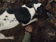 The Truffle Hunters Official Trailer