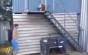 A Dog That Makes You Workout - Fun - VIDEOTIME.COM