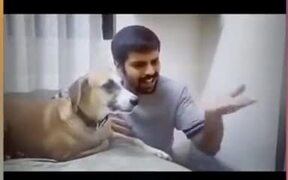 Dog Loves Vocal Training - Animals - VIDEOTIME.COM