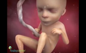 Baby Center Test - Tech - VIDEOTIME.COM