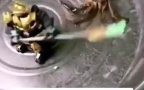 Deathmatch Between Robot And A Crab - Fun - VIDEOTIME.COM