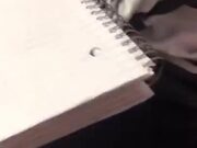 A Unique, Pen Stealing White Rat
