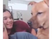 Dog Loves A Story By A Human
