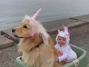 Little Girl Living Her Unicorn Dream