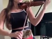 A Violin Session With A Kitten