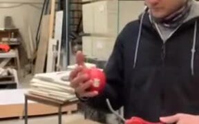 Coolest Science Experiment With An Apple