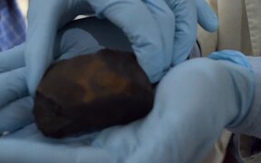 Fireball Trailer - Movie trailer - VIDEOTIME.COM