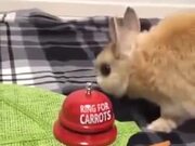 A Carrot Bell For Bunny