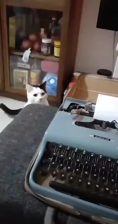 When Cat Hates A Typewriter