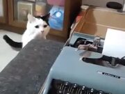 When Cat Hates A Typewriter