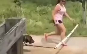 Most Hilarious Dog Training Ever - Animals - VIDEOTIME.COM