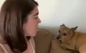 Singing Dog Interrupts Mother - Animals - VIDEOTIME.COM
