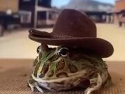 The Only Cowboy Frog In The World