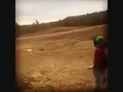 Little Kid Playing Baseball With Dog