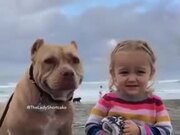 Pitbull And Little Girl Posing For A Picture