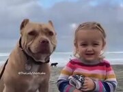 Pitbull And Little Girl Posing For A Picture