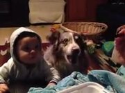 Dog Saying Mama! - Animals - Y8.COM