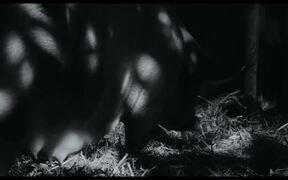 Gunda Official Trailer - Movie trailer - VIDEOTIME.COM