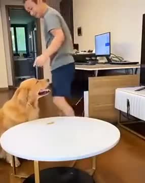 A Very Clever Dog