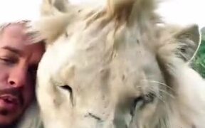 When A Lion Is Your Friend