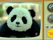 Panda Cheese Commercial: Never Say No to Panda