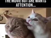 When Your Bae Wants Attention On Movie Night