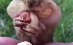 Human Feeding A Squirrel - Animals - VIDEOTIME.COM