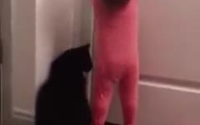 Cat Opening The Door For Baby - Animals - VIDEOTIME.COM