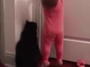 Cat Opening The Door For Baby