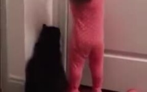 Cat Opening The Door For Baby - Animals - VIDEOTIME.COM