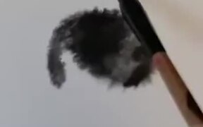 An Incredible Way To Paint - Fun - VIDEOTIME.COM