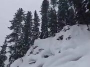 Ski Jumping Shenanigans