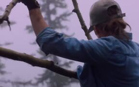 Land Trailer - Movie trailer - VIDEOTIME.COM