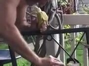 Man Playing With An Adorable Squirrel