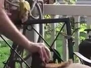 Man Playing With An Adorable Squirrel