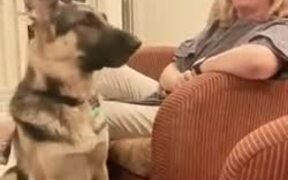 When Your Dog Loves Adele - Animals - VIDEOTIME.COM